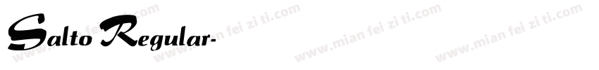 Salto Regular字体转换